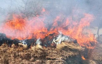 बैतडीको सुर्नयामा आगलागि हुँदा खर जलेर नष्ट, ३० हजार बढीको क्षति 
